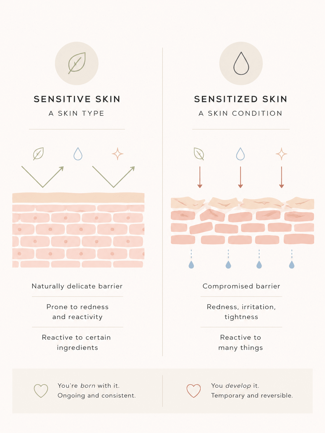 Sensitive vs. Sensitized Skin: What’s the Difference (and Why It Matters) - Omora Beauty Lab
